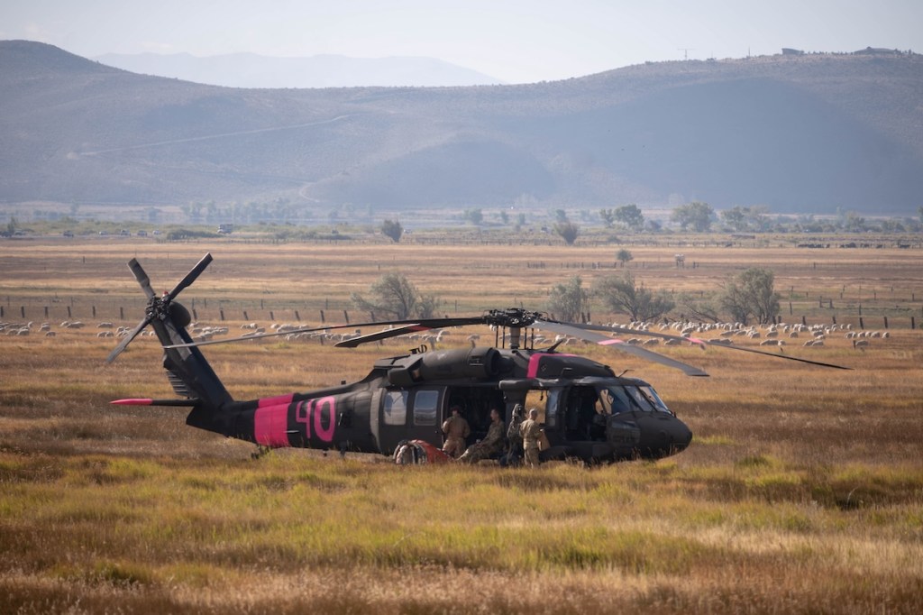 A helicopter parked in a sheep field