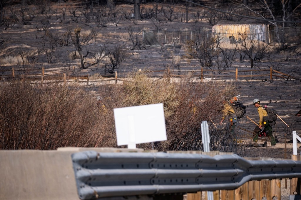 A fire crew is walking in an area recently burned