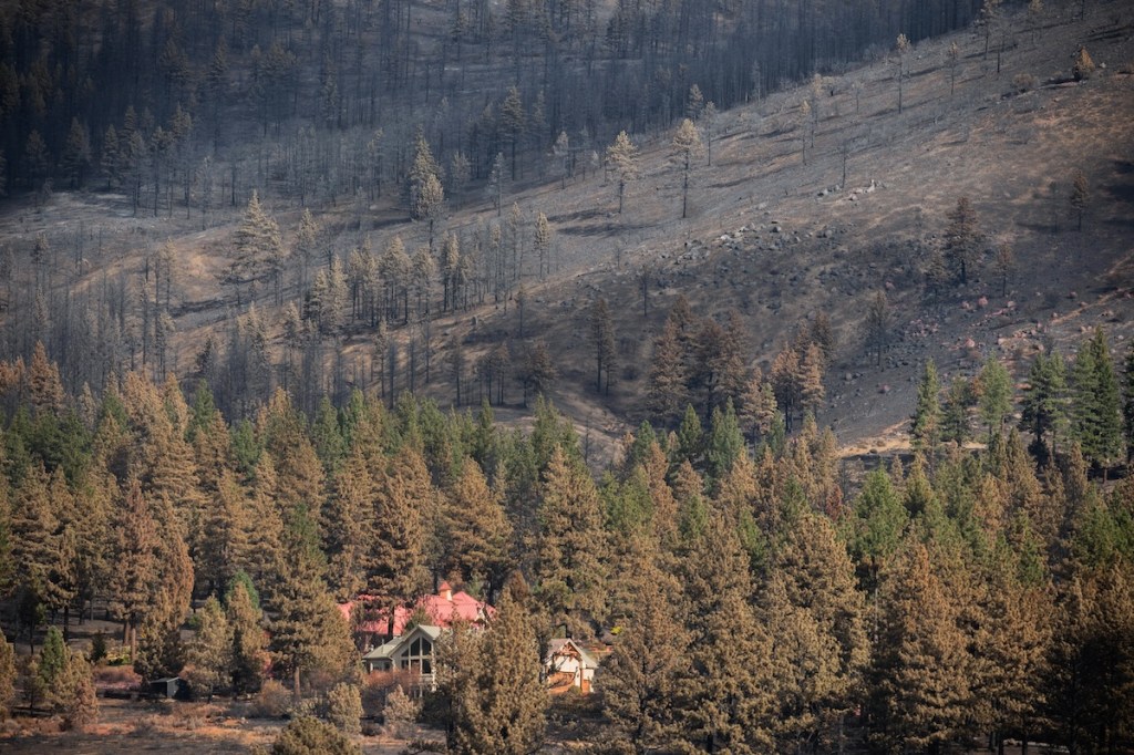 A building is shown in a heavily wooded area near an area where the fire was present